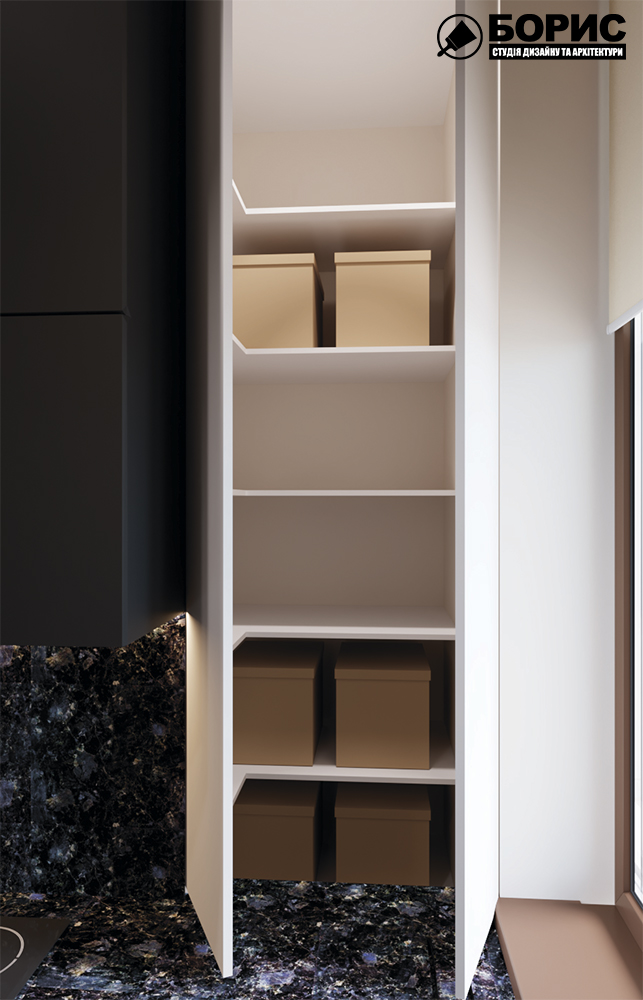 Дизайн-проект квартири по вул. Семінарській, кухня вид на шафу з відкритми дверцятами