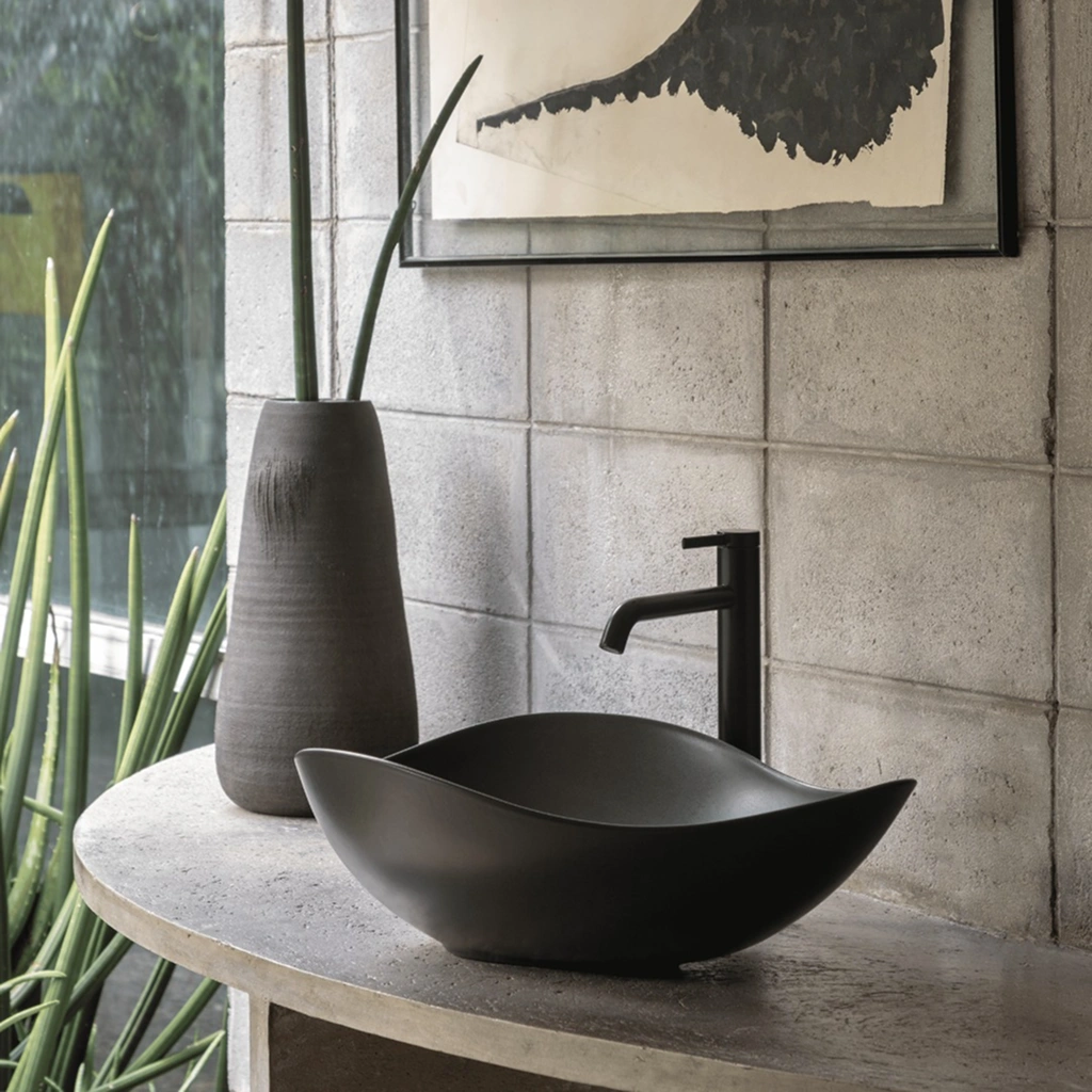 Сучасна раковина roca