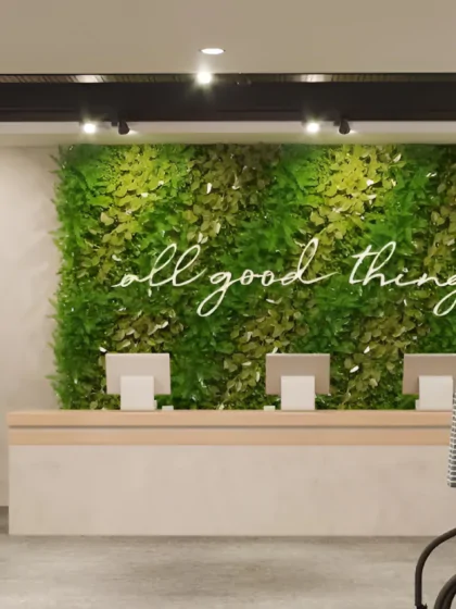 Дизайн магазину у екостилі – особливості та варіанти оформлення