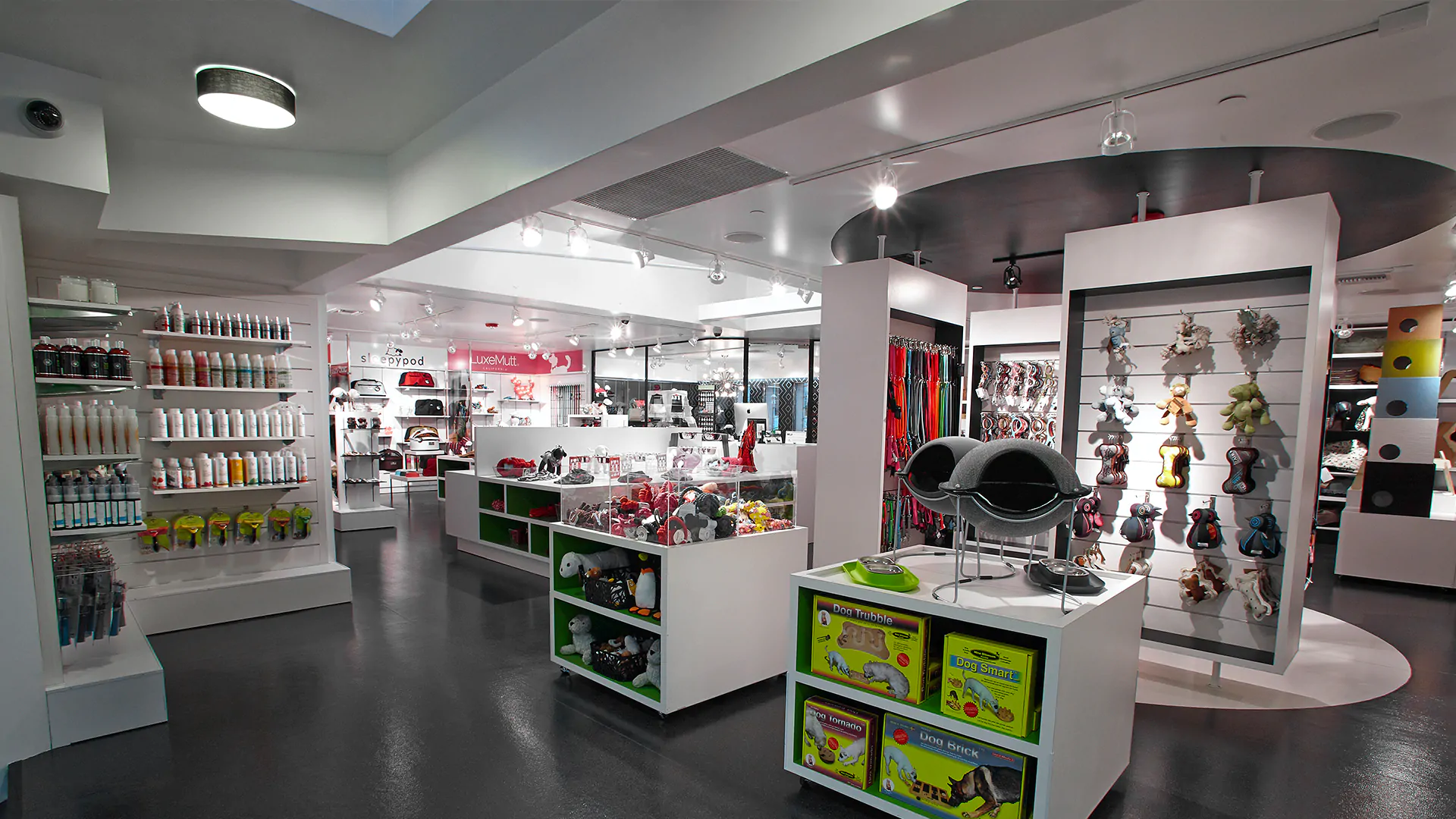 Дизайн інтер’єру зоомагазину №2