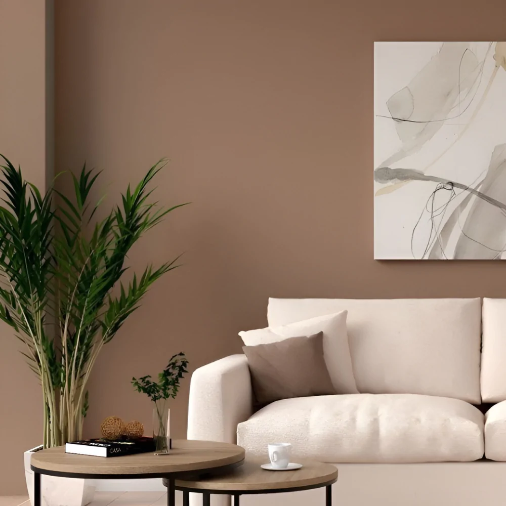 Оздоблення стін будинку фарбою